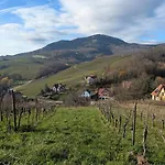 Calme Et Vue Sur Les Vignes En Alsace Apartment Bernardville