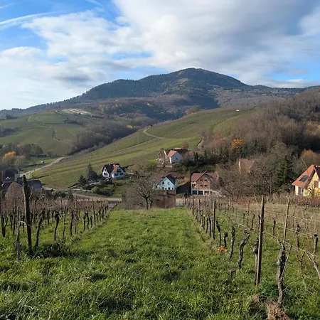 Calme Et Vue Sur Les Vignes En Alsace شقة Bernardvillé