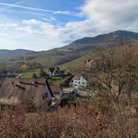 شقة Calme Et Vue Sur Les Vignes En Alsace *