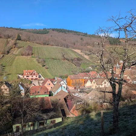 شقة Calme Et Vue Sur Les Vignes En Alsace Bernardvillé