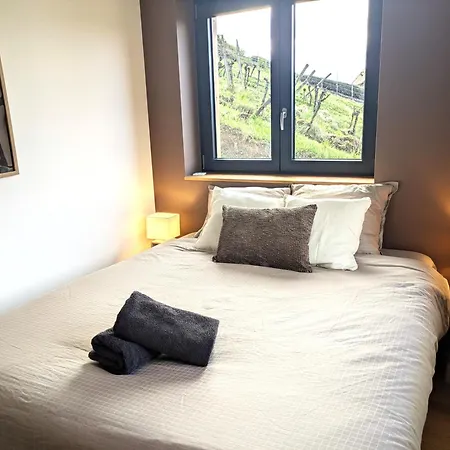 Calme Et Vue Sur Les Vignes En Alsace Apartment Bernardville