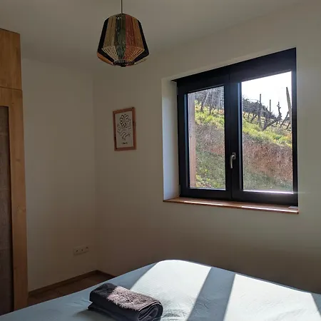 Apartment Calme Et Vue Sur Les Vignes En Alsace Bernardville
