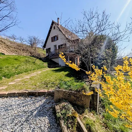 Calme Et Vue Sur Les Vignes En Alsace