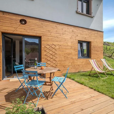 Calme Et Vue Sur Les Vignes En Alsace Apartment *