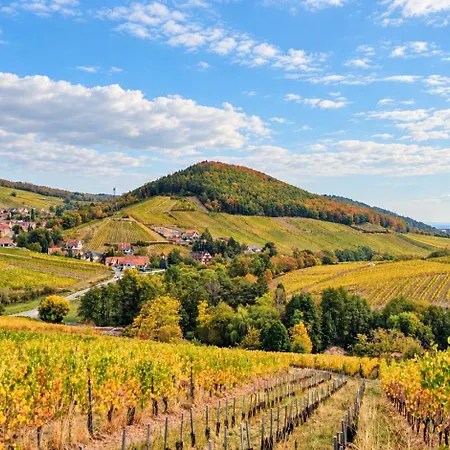 Calme Et Vue Sur Les Vignes En Alsace