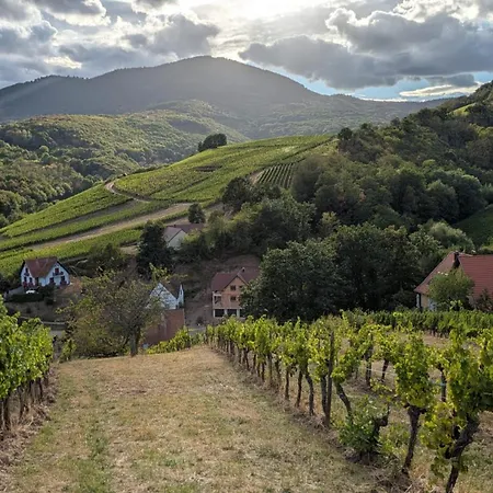 Calme Et Vue Sur Les Vignes En Alsace Apartment