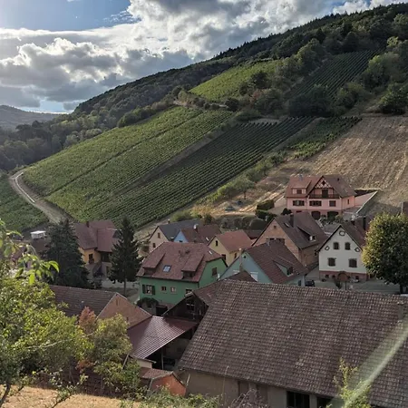 Calme Et Vue Sur Les Vignes En Alsace Appartement Bernardvillé