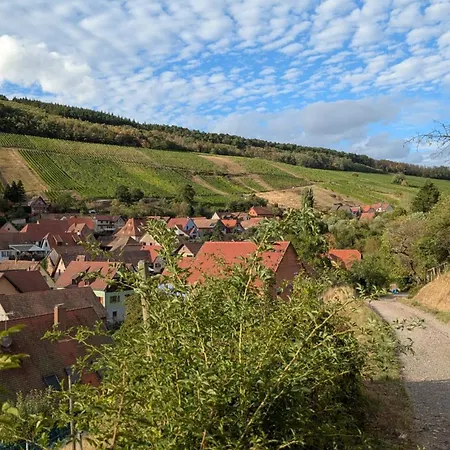 Calme Et Vue Sur Les Vignes En Alsace Bernardville