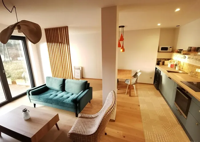 Calme Et Vue Sur Les Vignes En Alsace *