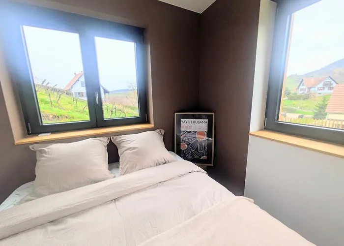 Calme Et Vue Sur Les Vignes En Alsace * Bernardvillé