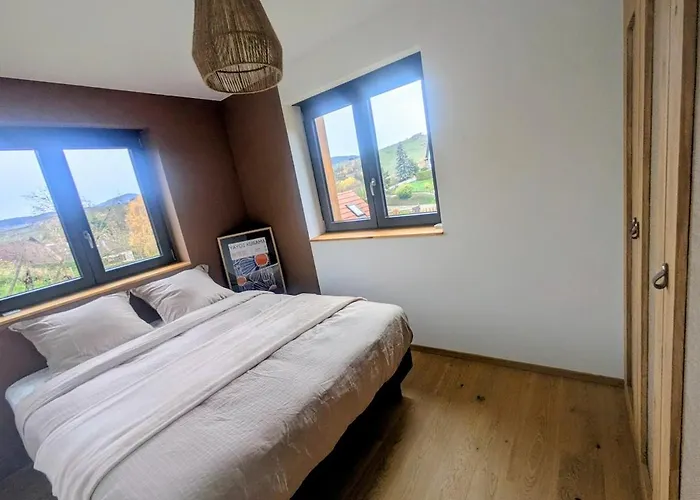 Calme Et Vue Sur Les Vignes En Alsace * Bernardvillé