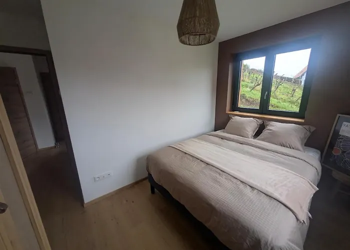 Calme Et Vue Sur Les Vignes En Alsace