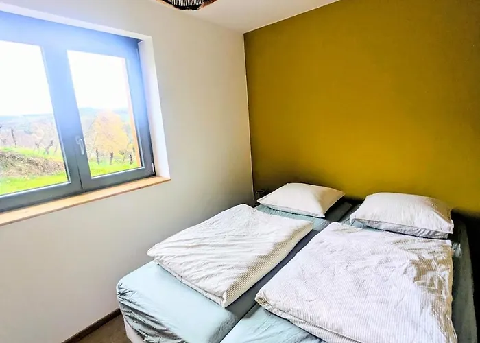 Calme Et Vue Sur Les Vignes En Alsace