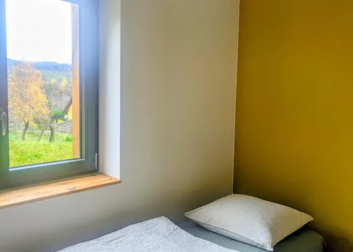 Calme Et Vue Sur Les Vignes En Alsace *