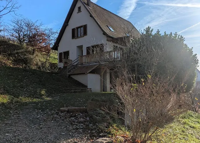 Calme Et Vue Sur Les Vignes En Alsace * Bernardvillé