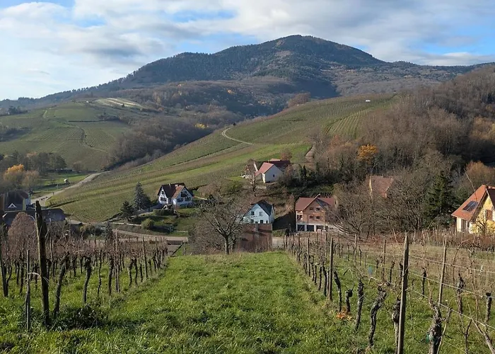 Calme Et Vue Sur Les Vignes En Alsace شقة Bernardvillé