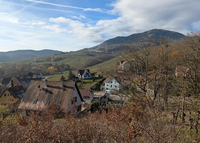 شقة Calme Et Vue Sur Les Vignes En Alsace *