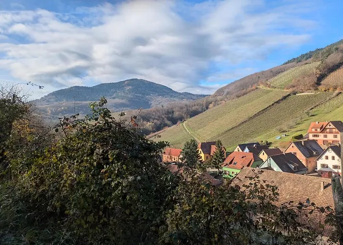 Calme Et Vue Sur Les Vignes En Alsace * Bernardvillé