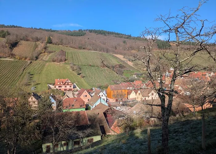 شقة Calme Et Vue Sur Les Vignes En Alsace Bernardvillé