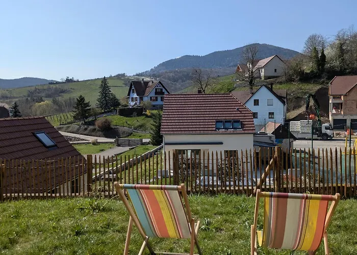 Calme Et Vue Sur Les Vignes En Alsace Apartment *