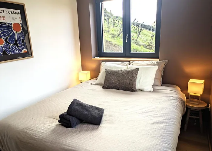 Calme Et Vue Sur Les Vignes En Alsace Apartment Bernardville