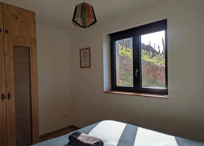 Apartment Calme Et Vue Sur Les Vignes En Alsace Bernardville
