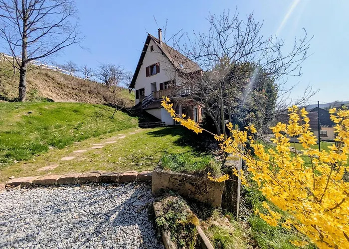 Calme Et Vue Sur Les Vignes En Alsace